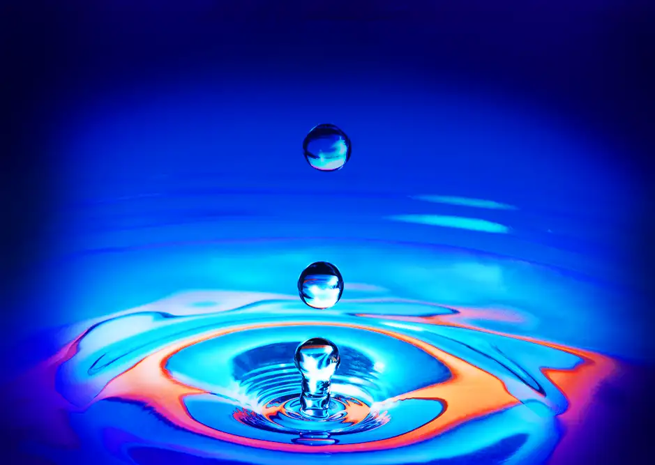 Member_Encounter_Submissions_2