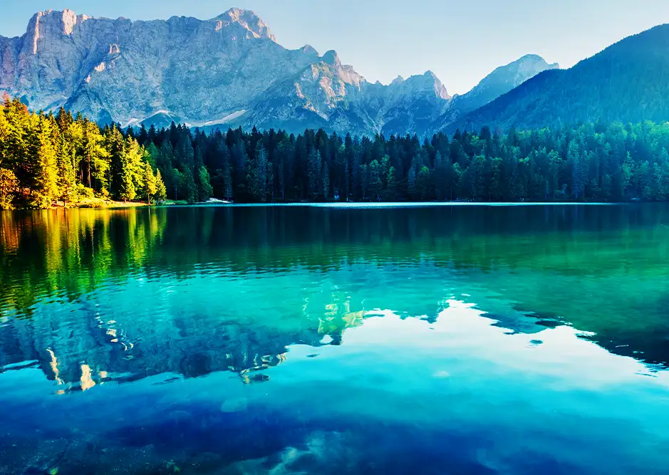 Enrollment_Management_Software_3