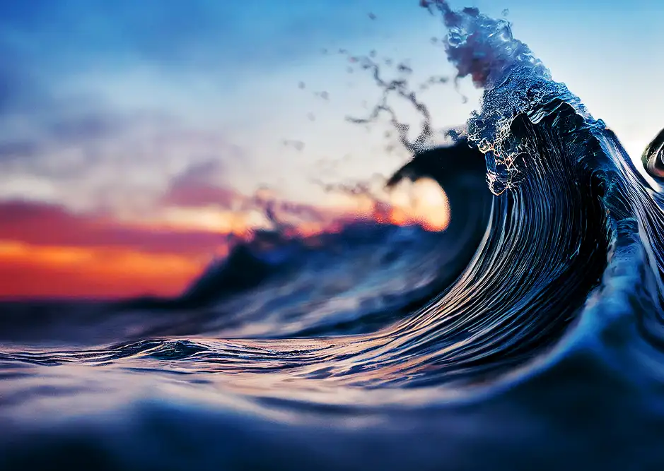 Enrollment_Management_Solution_2