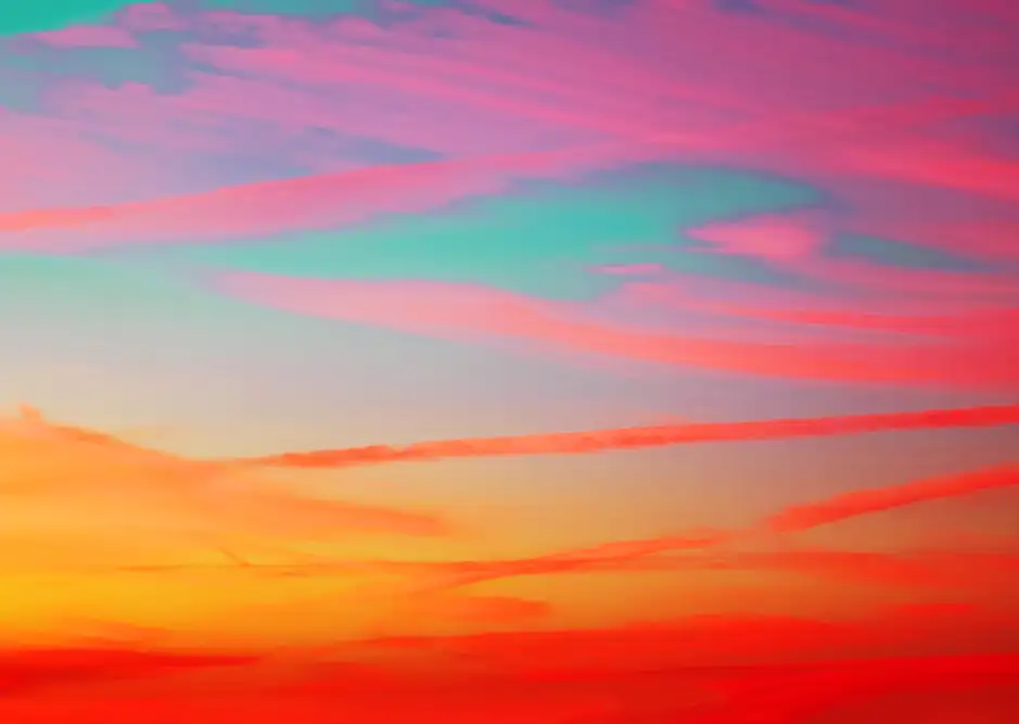 Population-Payment-Management-Edifecs-5