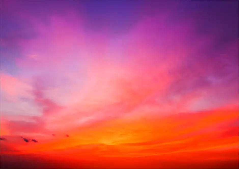 Population-Payment-Management-Solution-1